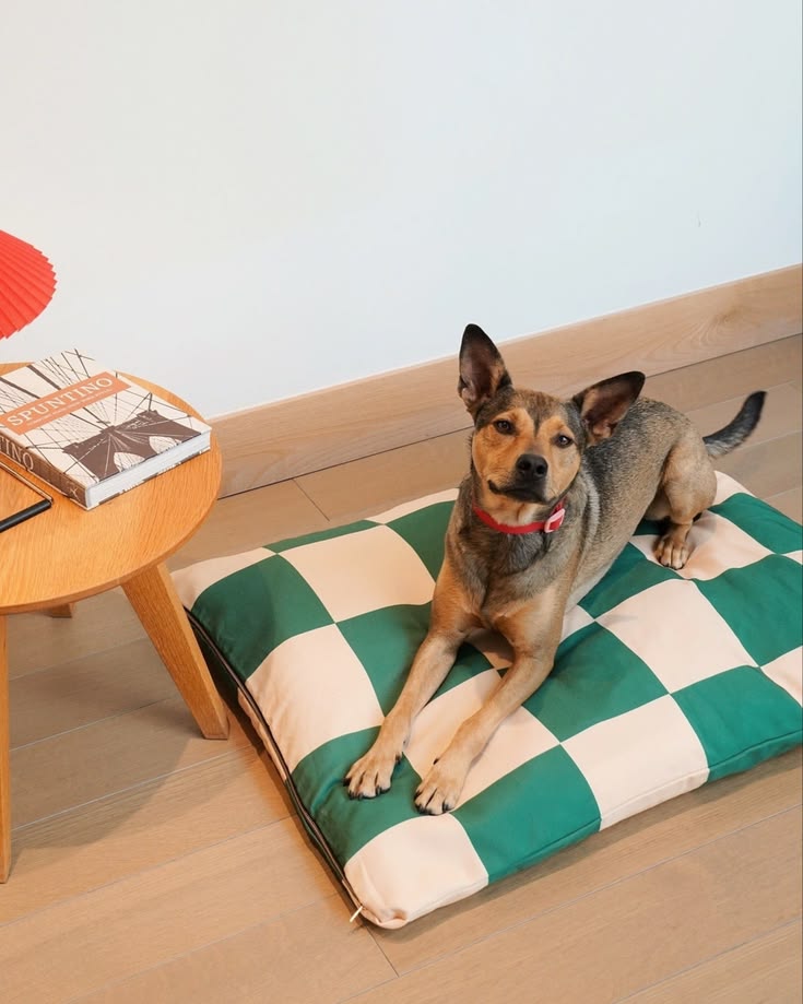 Dog Sleeping Beds
