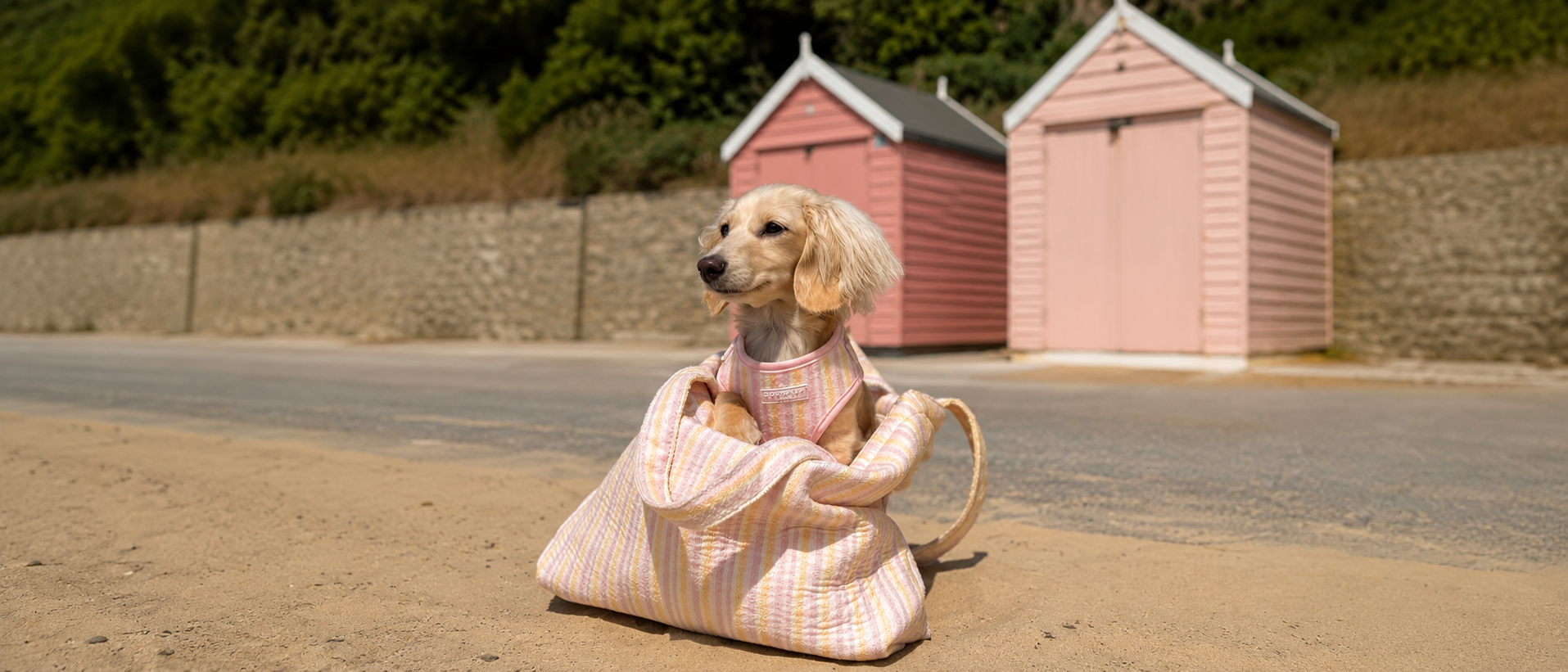 Travel Carrier