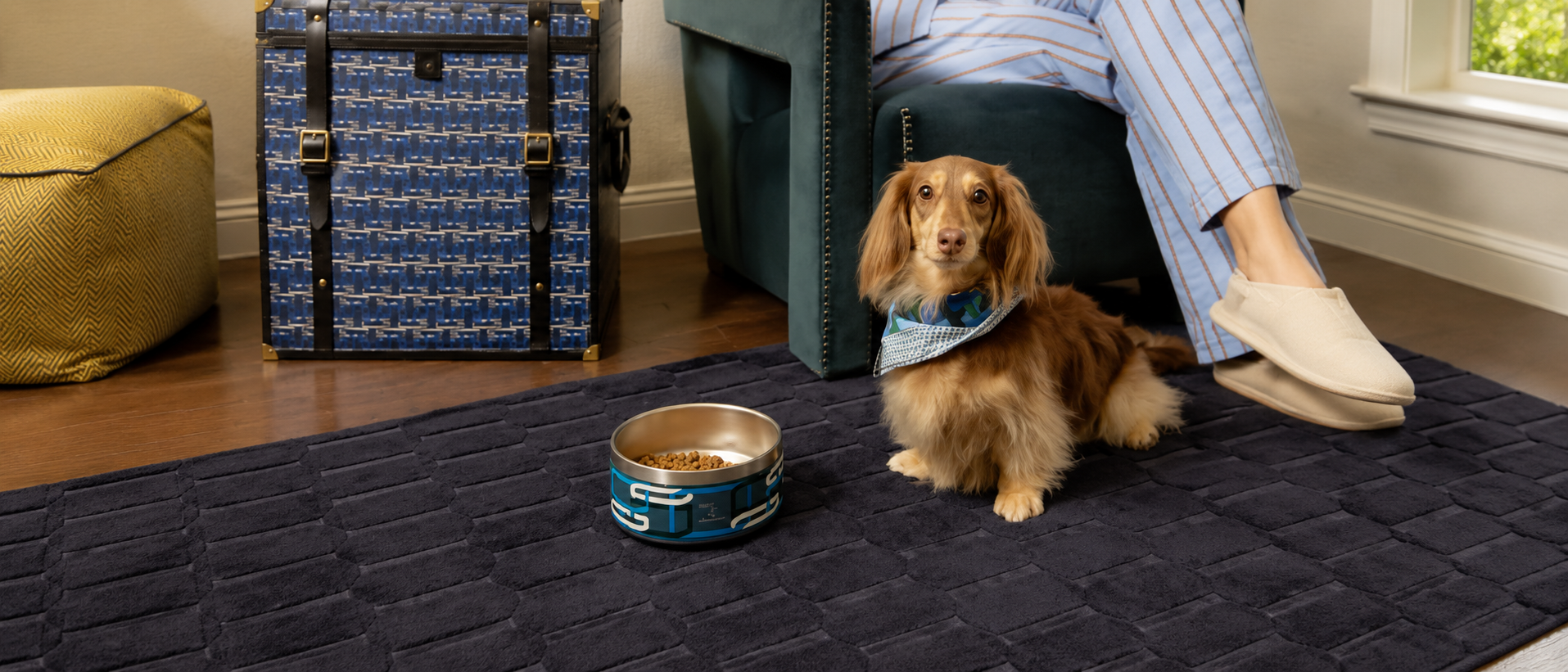 Comfortable dog beds